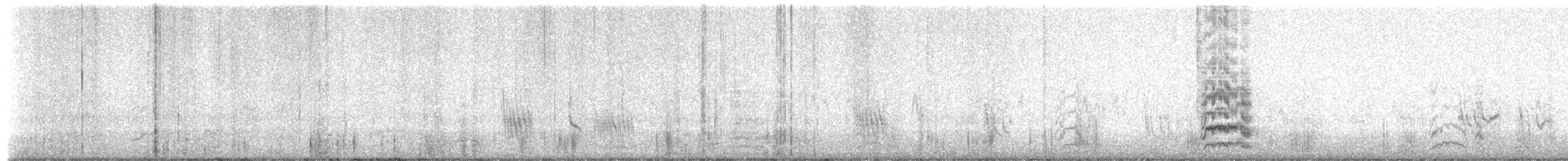 graveparakitt - ML652175681