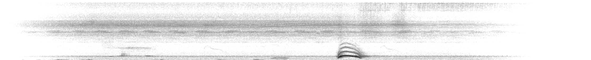 Black-and-white Owl - ML652181056