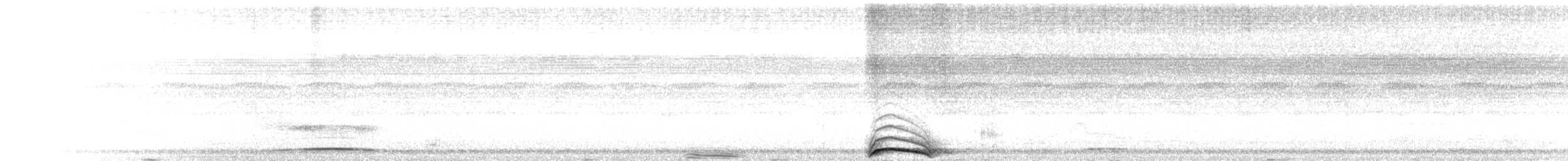 Black-and-white Owl - ML652181057