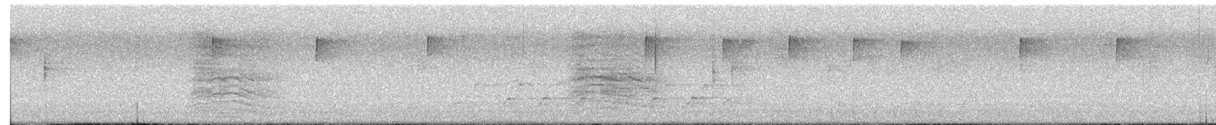 ネコマネドリ - ML652182326