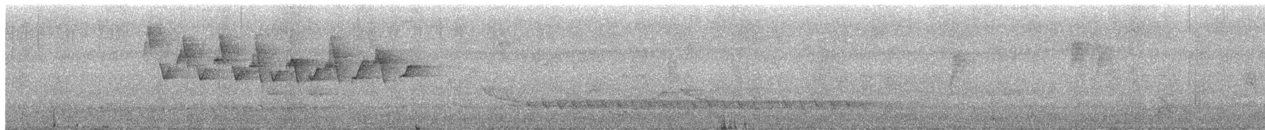 White-browed Scrubwren - ML652185404