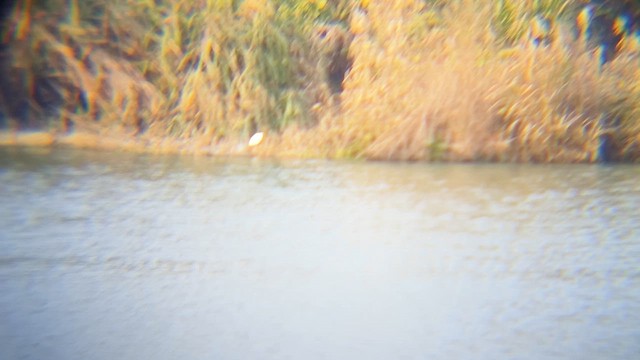 Ногоовор зашин - ML652186104