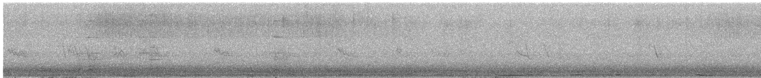 Felsentaube (Straßentaube) - ML652187696