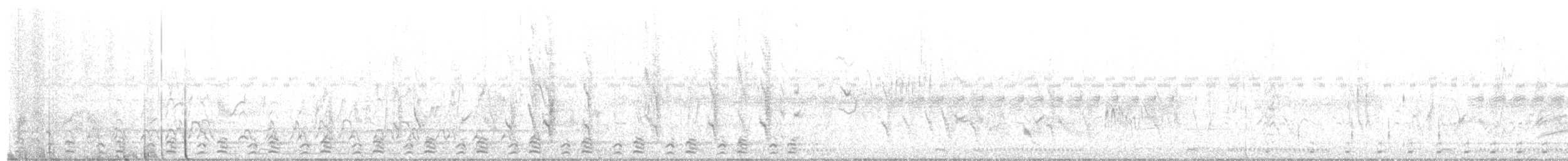 Toco Piquirrojo Sureño - ML652188682