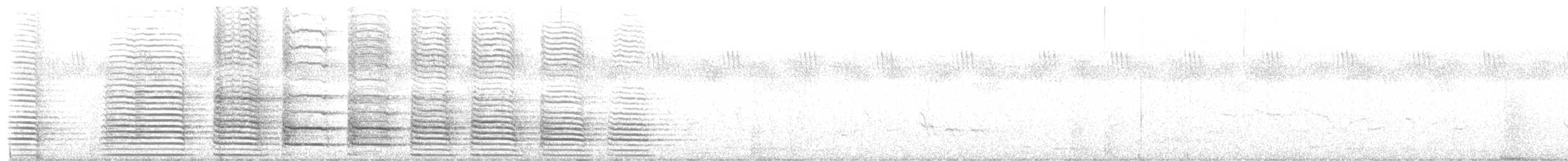 Cálao Trompetero - ML652188704