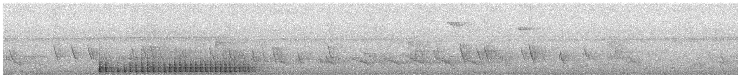 Pileated Woodpecker - ML652188939