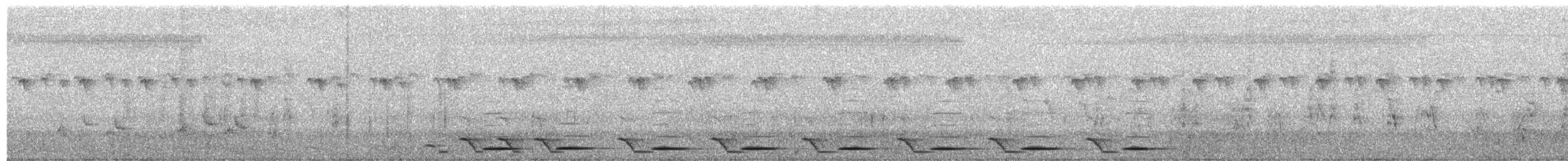 Пегий бубу - ML652189867