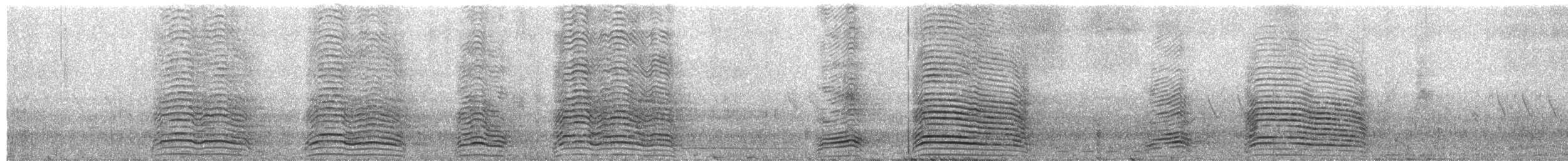 Хагедаш - ML652189954