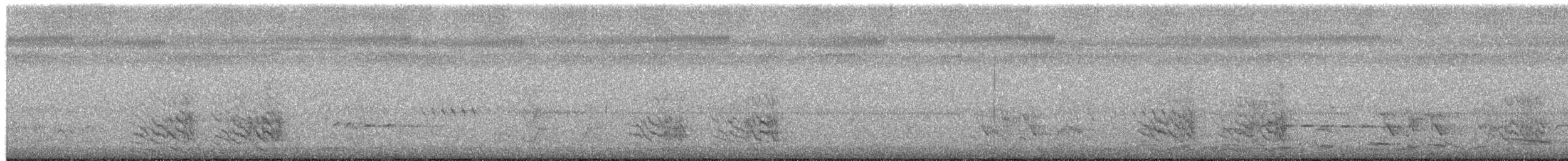 Black-faced Cuckooshrike - ML652190354