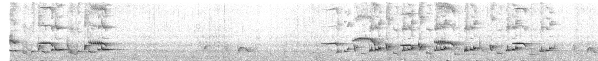 Белобровый рыжехвост - ML652190686