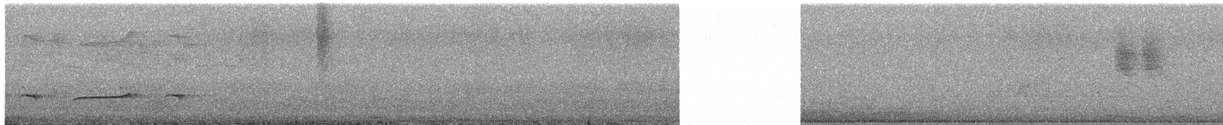 Klaaskuckuck - ML652191266