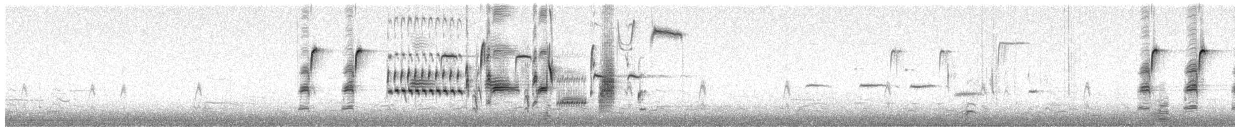 Song Sparrow (melodia/atlantica) - ML652195067