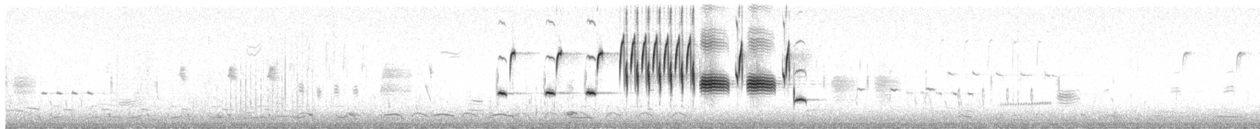 Song Sparrow (melodia/atlantica) - ML652195068