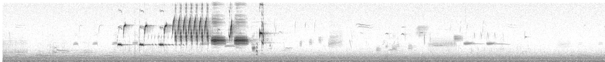 Song Sparrow (melodia/atlantica) - ML652195069