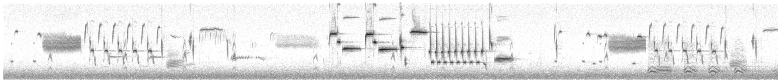 Song Sparrow (melodia/atlantica) - ML652195071