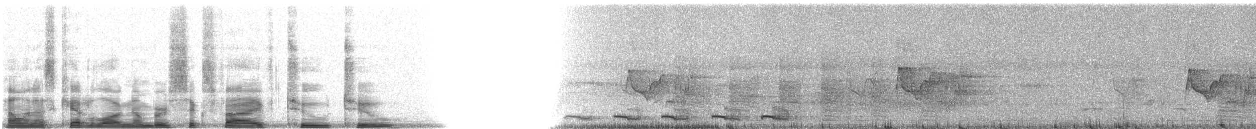 Coppery-tailed Trogon - ML6522