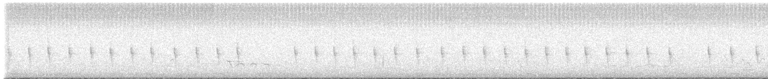 Prinia Modesta - ML652204387