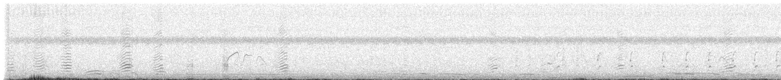 Ibis Sagrado - ML652204403