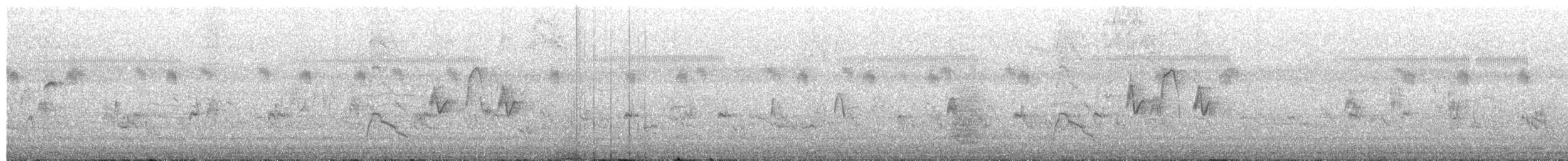 Eurasian Wigeon - ML652204783