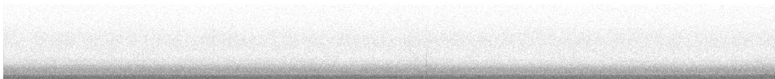 Western Screech-Owl - ML652206836