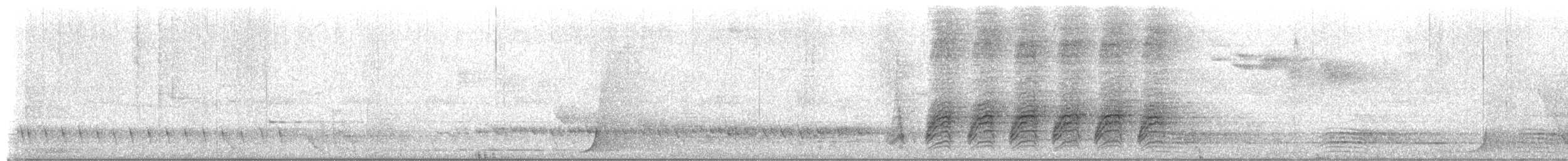 Eastern Whipbird - ML652218345