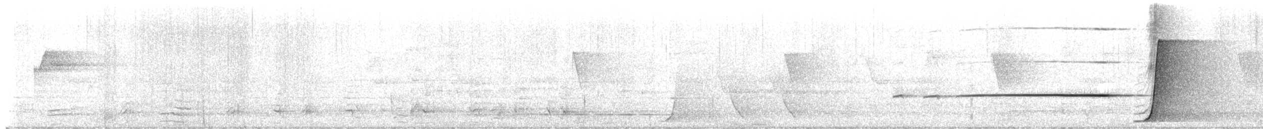 Eastern Whipbird - ML652218977