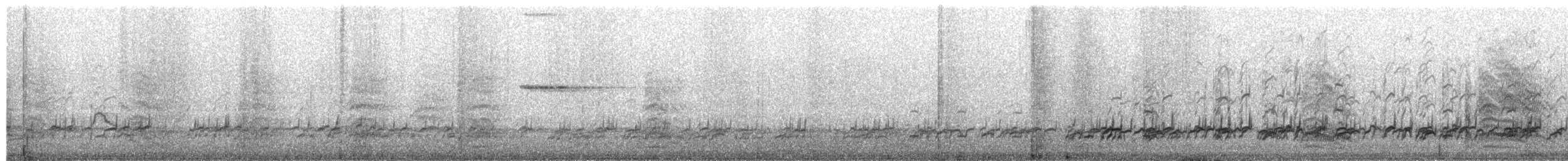 Шилоклювка - ML652222739