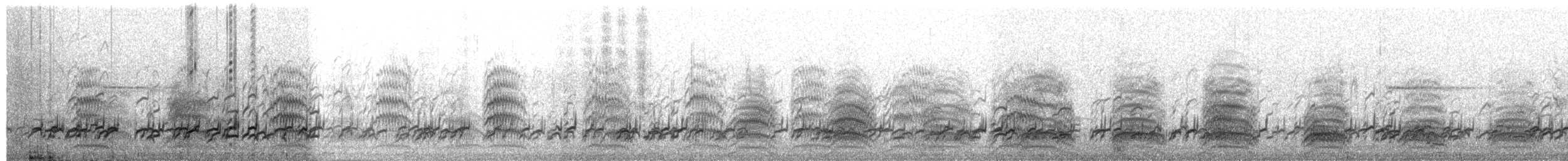 Шилоклювка - ML652222741