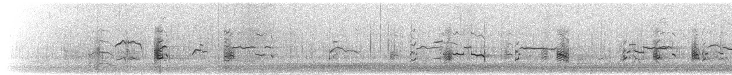 Short-billed Gull - ML652223358