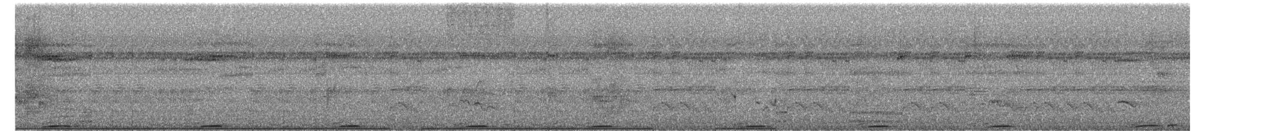 Whooping Motmot - ML652223739