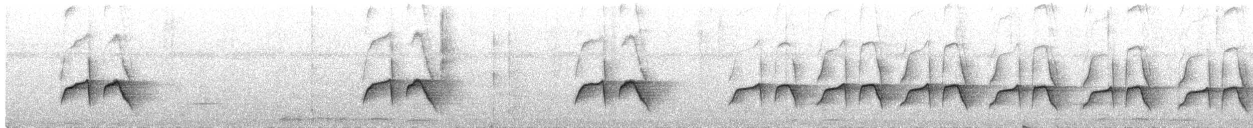 Dot-backed Antbird - ML652223800