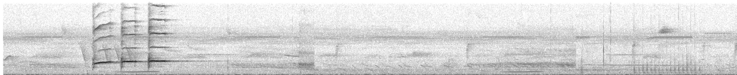 Ringed Woodpecker - ML652224048