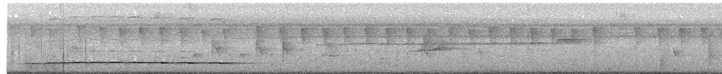 Streak-chested Antpitta - ML652224985