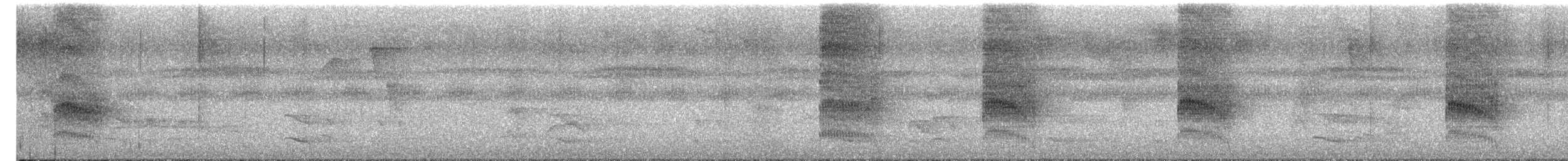 Dusky Antbird - ML652225813