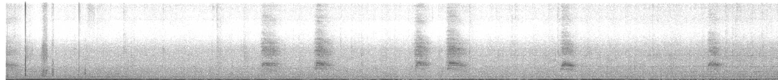 White-throated Magpie-Jay - ML652225874