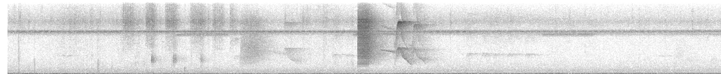 White-collared Manakin - ML652226086