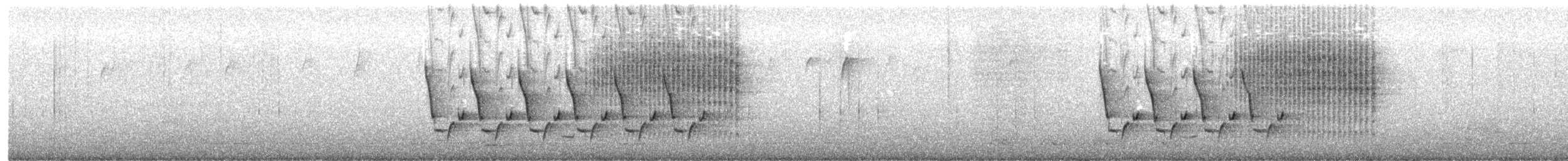 Carolina Wren - ML652226144