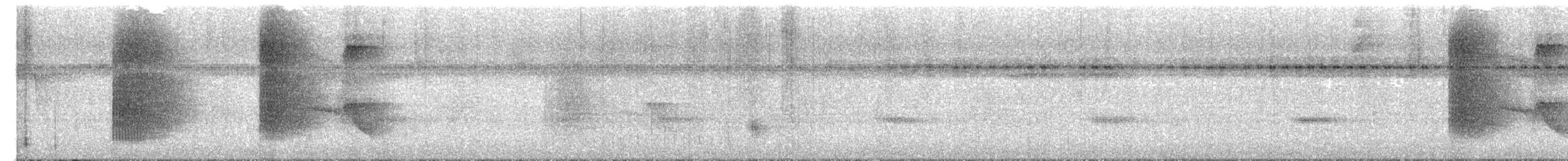 White-collared Manakin - ML652226178