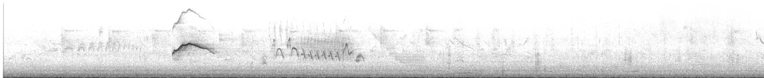 Taczanowski's Tinamou - ML652226447