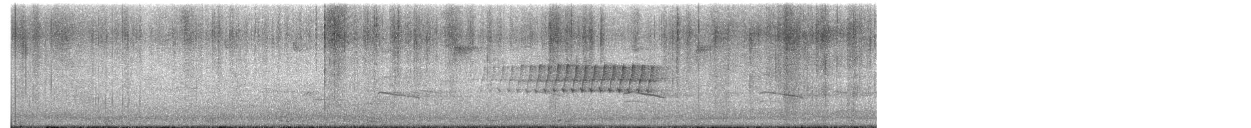 マツアメリカムシクイ - ML652226609