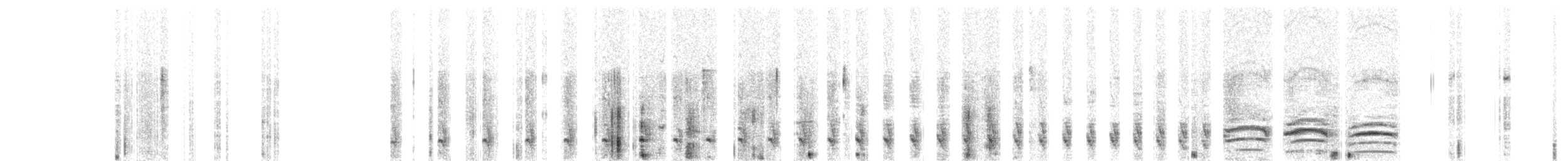 hvitbrystmaurvarsler - ML652227690