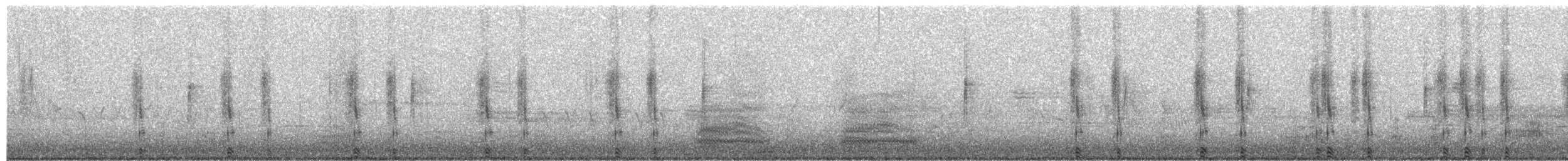 琵嘴鴨 - ML652229804