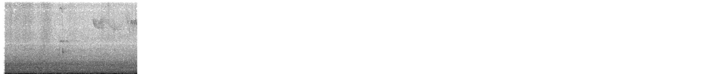 Hairy Woodpecker - ML652236472