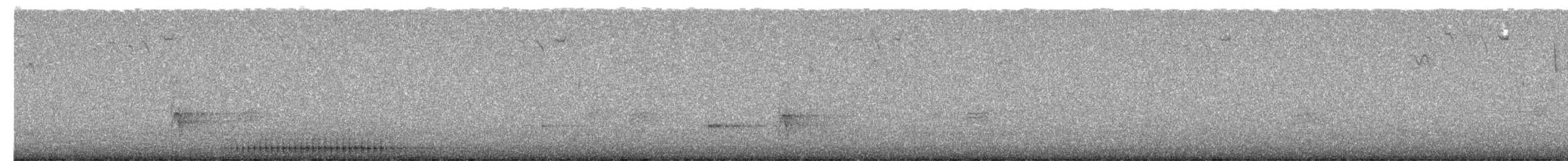 Hairy Woodpecker (Eastern) - ML652237297