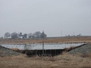 North Onion Creek CREP wetland (private property), Boone, Iowa, United ...