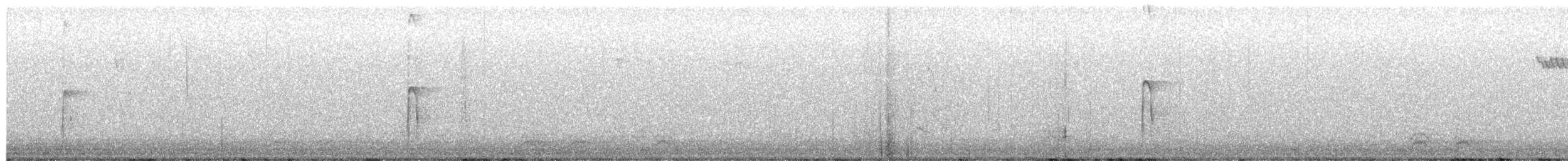 Hairy Woodpecker (Rocky Mts.) - ML652239568