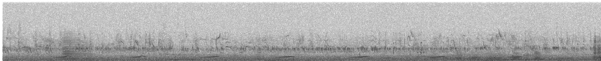 Lesser Flamingo - ML652244643