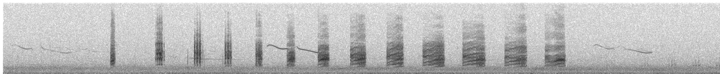 Белокрылый корхан - ML652245035