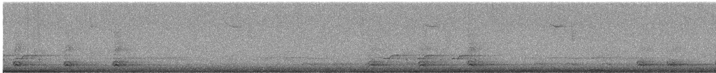 Carolina Wren - ML652250873