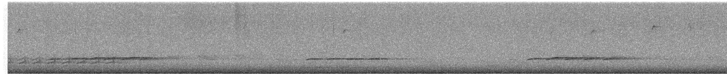 White-breasted Nuthatch - ML652251133